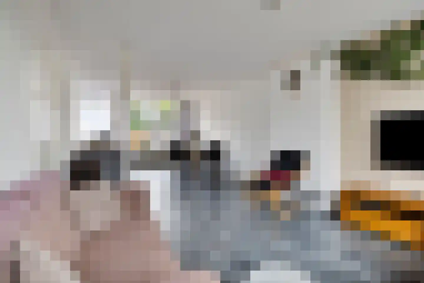 Raaigras 45 Rotterdam thumbnail 9