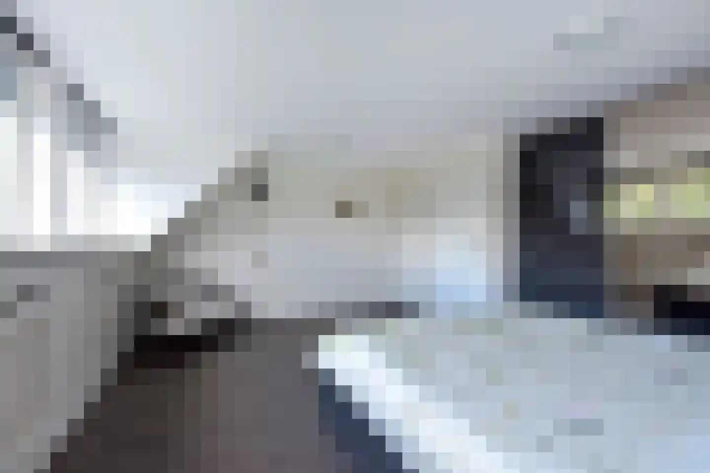 Raaigras 46 Wilnis thumbnail 15