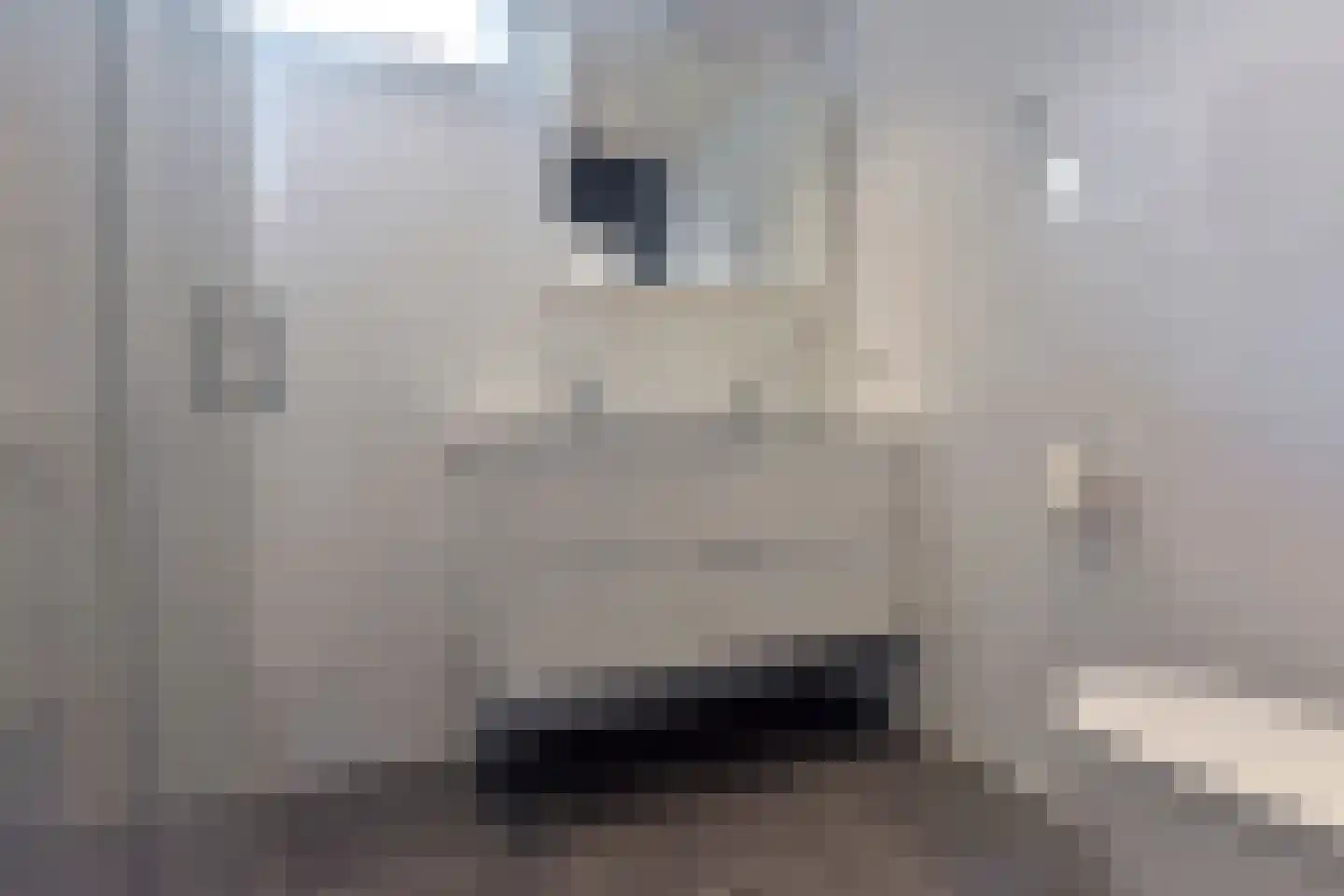 Raaigras 46 Wilnis thumbnail 16