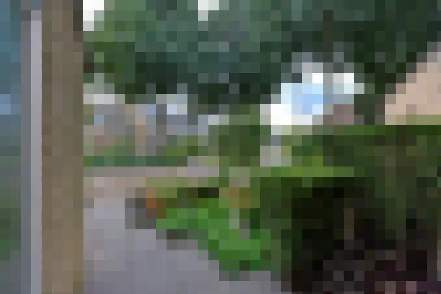 Raaigras 46 Wilnis thumbnail 25