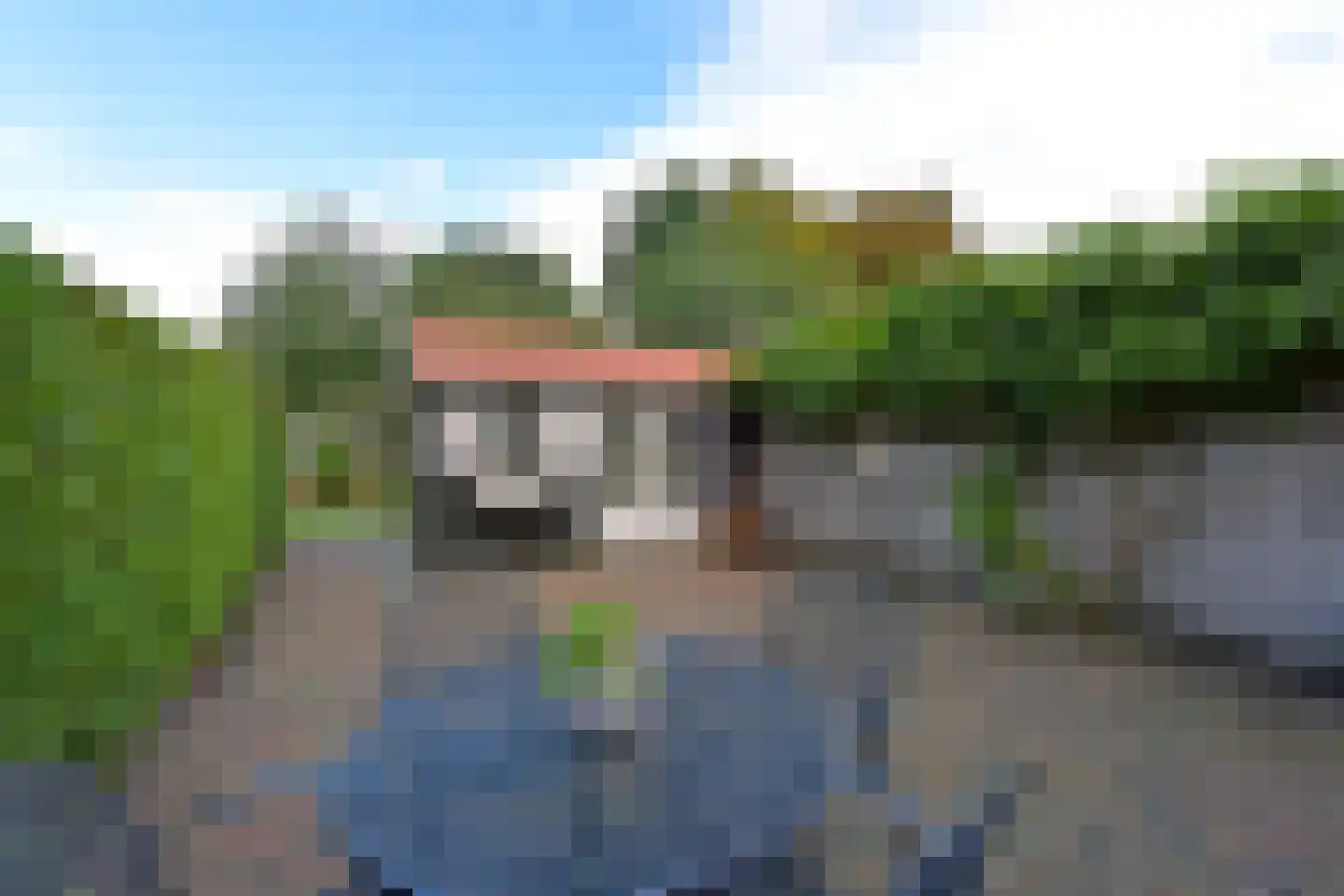 Raaigras 46 Wilnis thumbnail 26