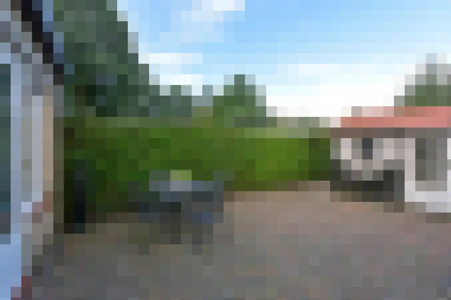 Raaigras 46 Wilnis thumbnail 27