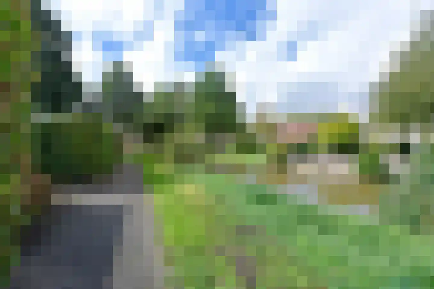 Raaigras 46 Wilnis thumbnail 29