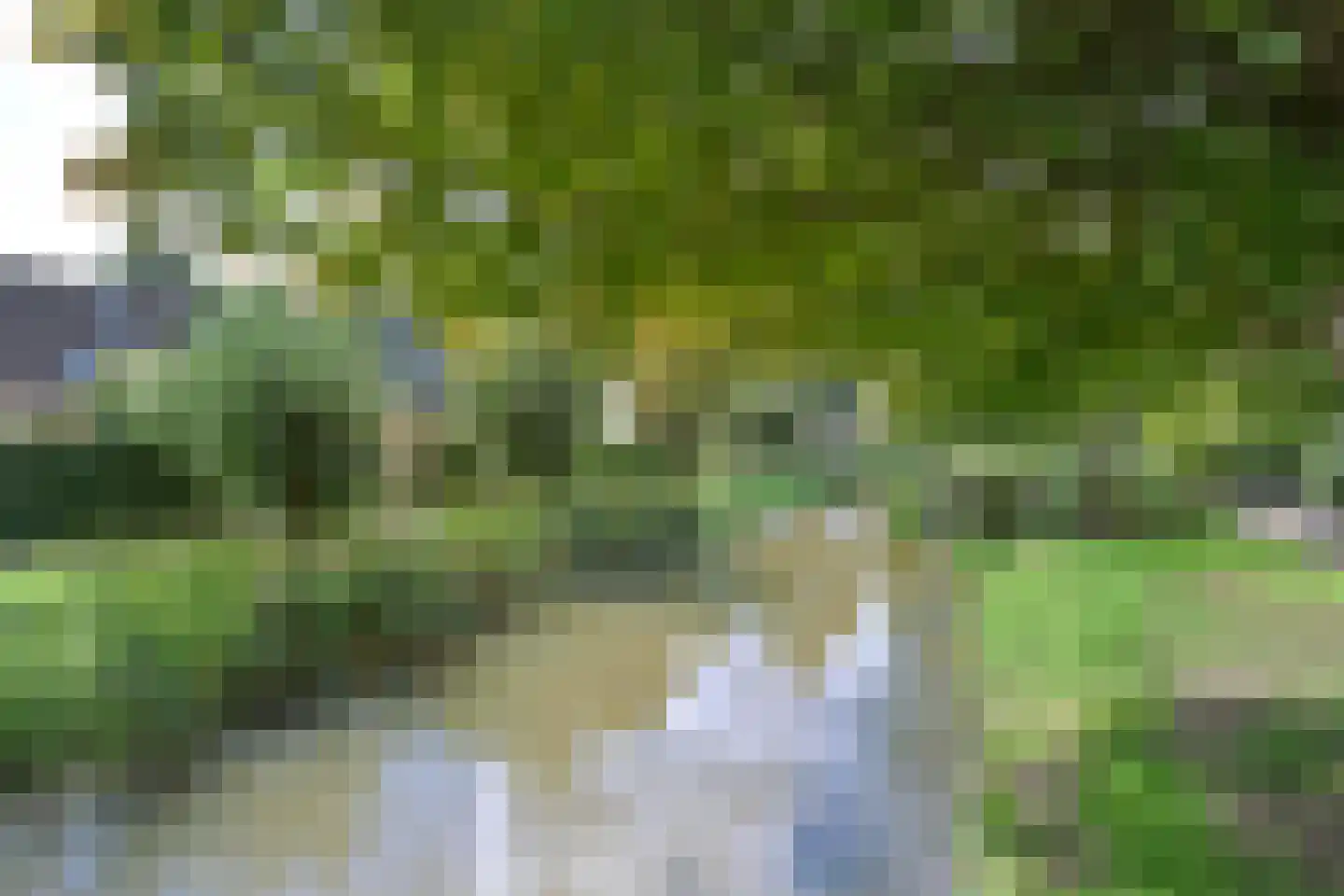 Raaigras 46 Wilnis thumbnail 30