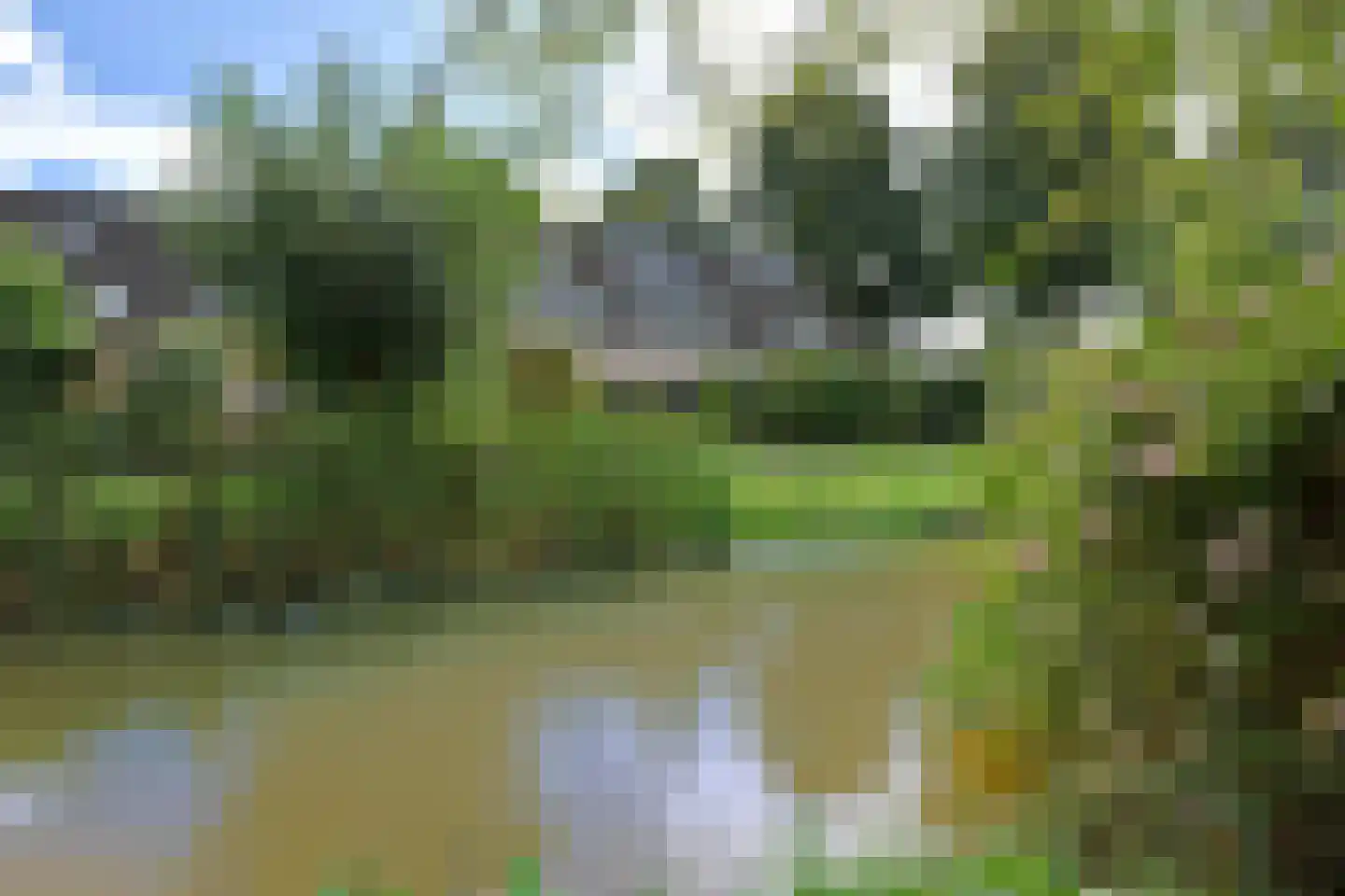 Raaigras 46 Wilnis thumbnail 32