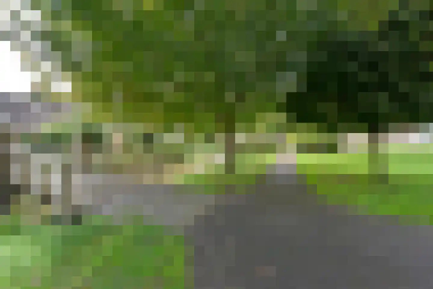 Raaigras 46 Wilnis thumbnail 33
