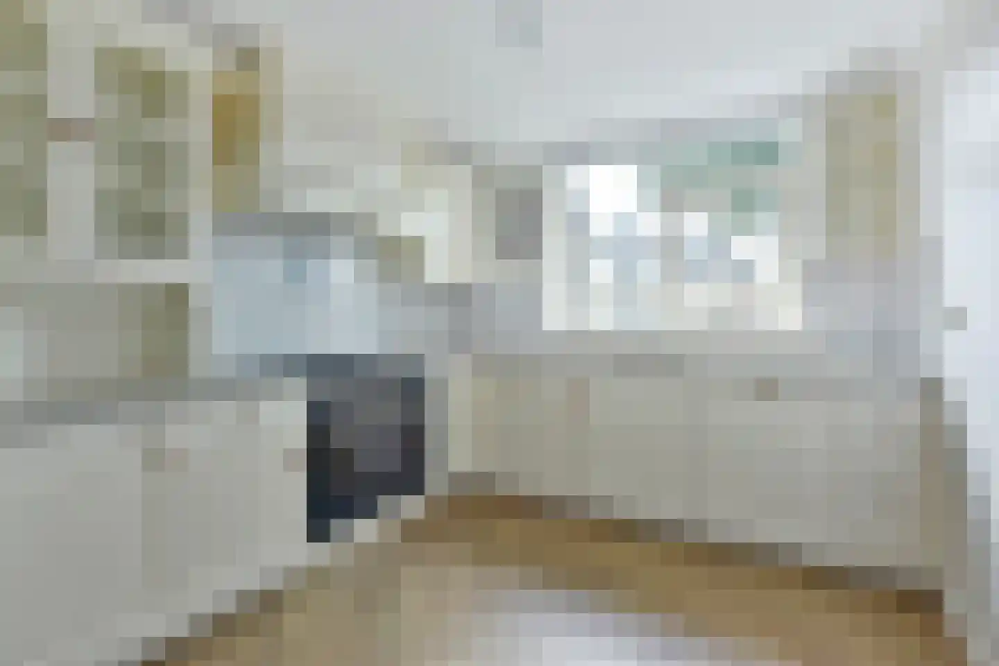 Raaigras 46 Wilnis thumbnail 5