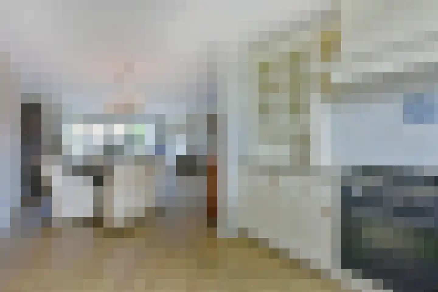 Raaigras 46 Wilnis thumbnail 6
