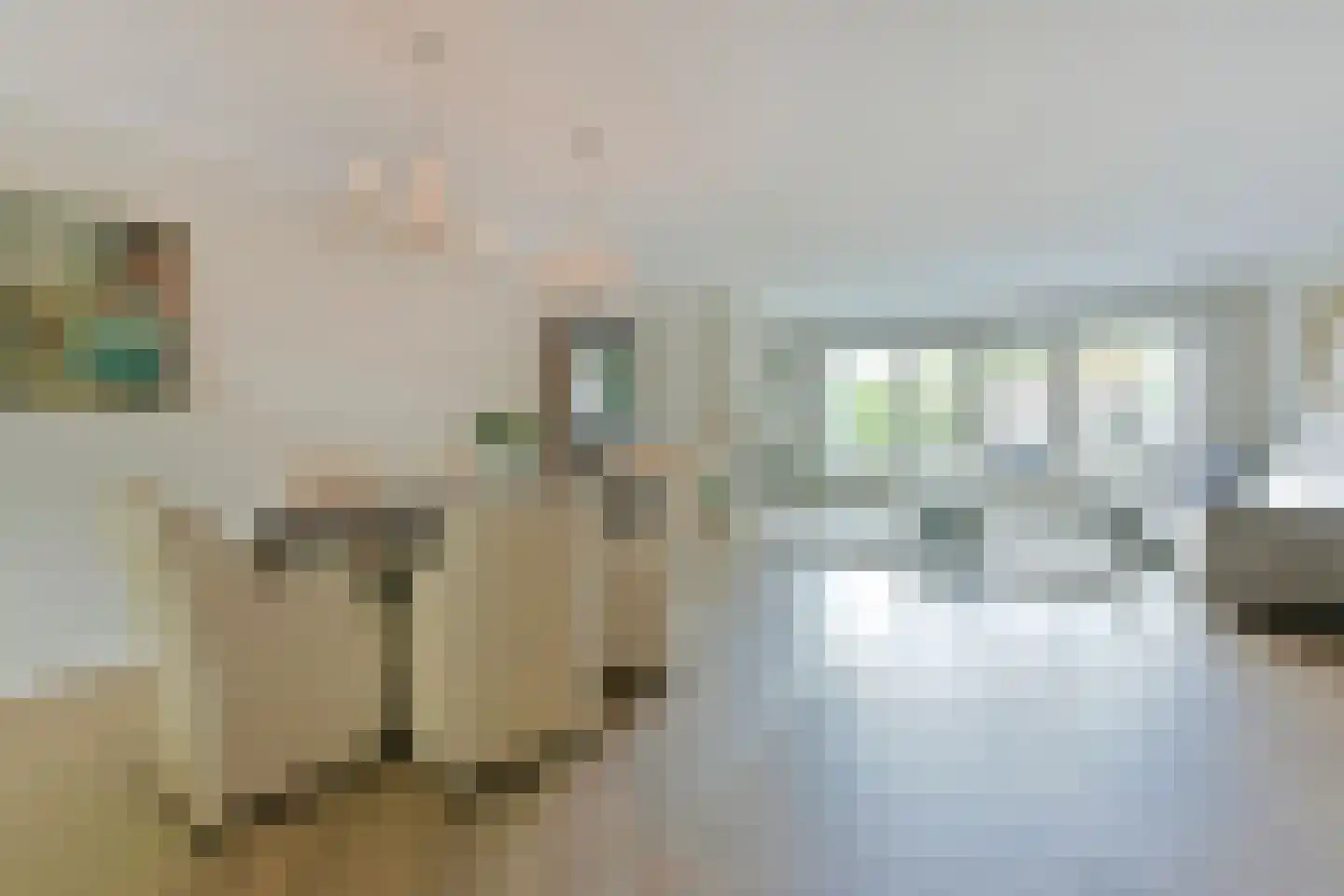 Raaigras 46 Wilnis thumbnail 7