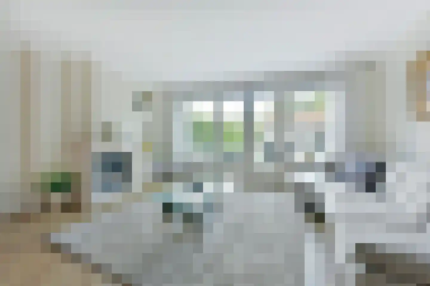 Raaigras 46 Wilnis thumbnail 8