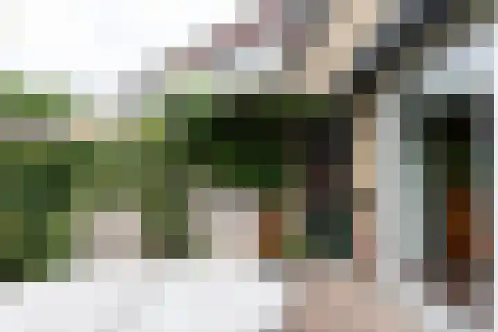 Raaigras 49 Wilnis thumbnail 12