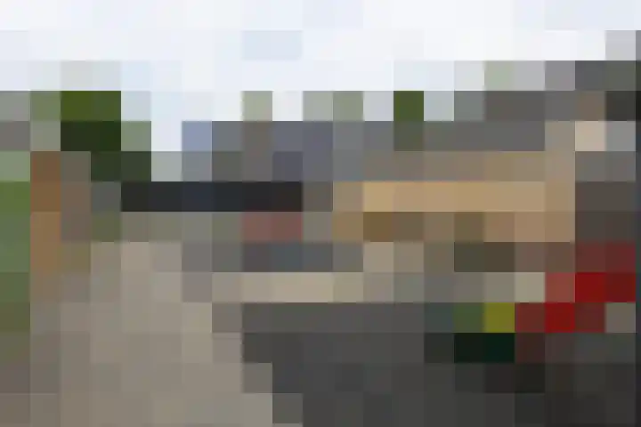 Raaigras 49 Wilnis thumbnail 29