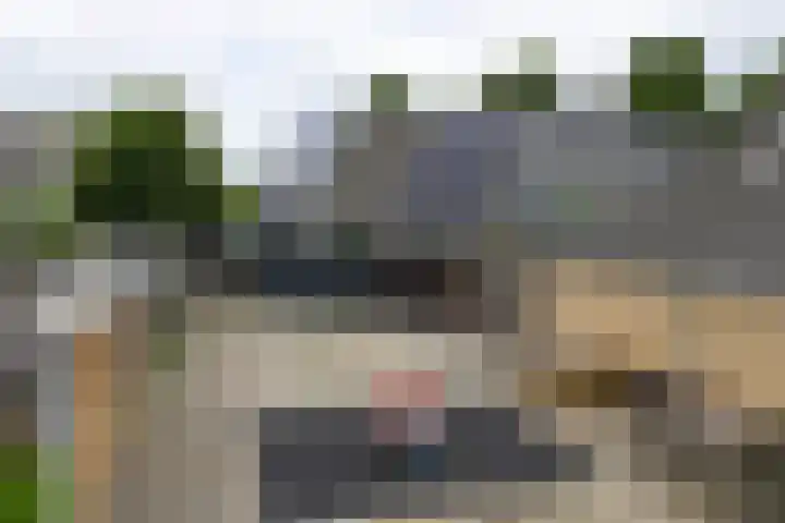 Raaigras 49 Wilnis thumbnail 30