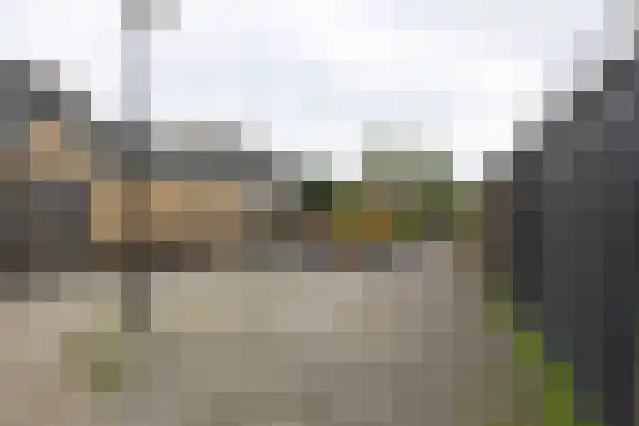 Raaigras 49 Wilnis thumbnail 31