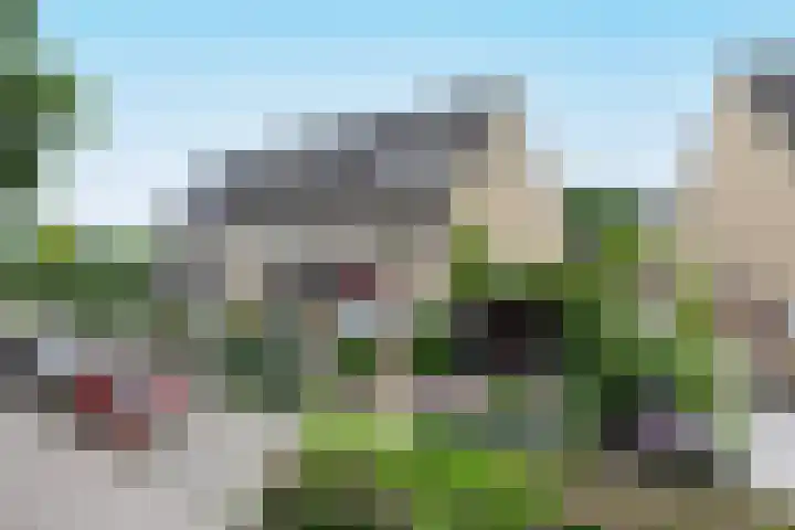Raaigras 49 Wilnis thumbnail 32