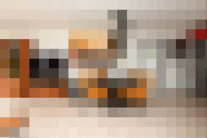 Raaigras 49 Wilnis thumbnail 7