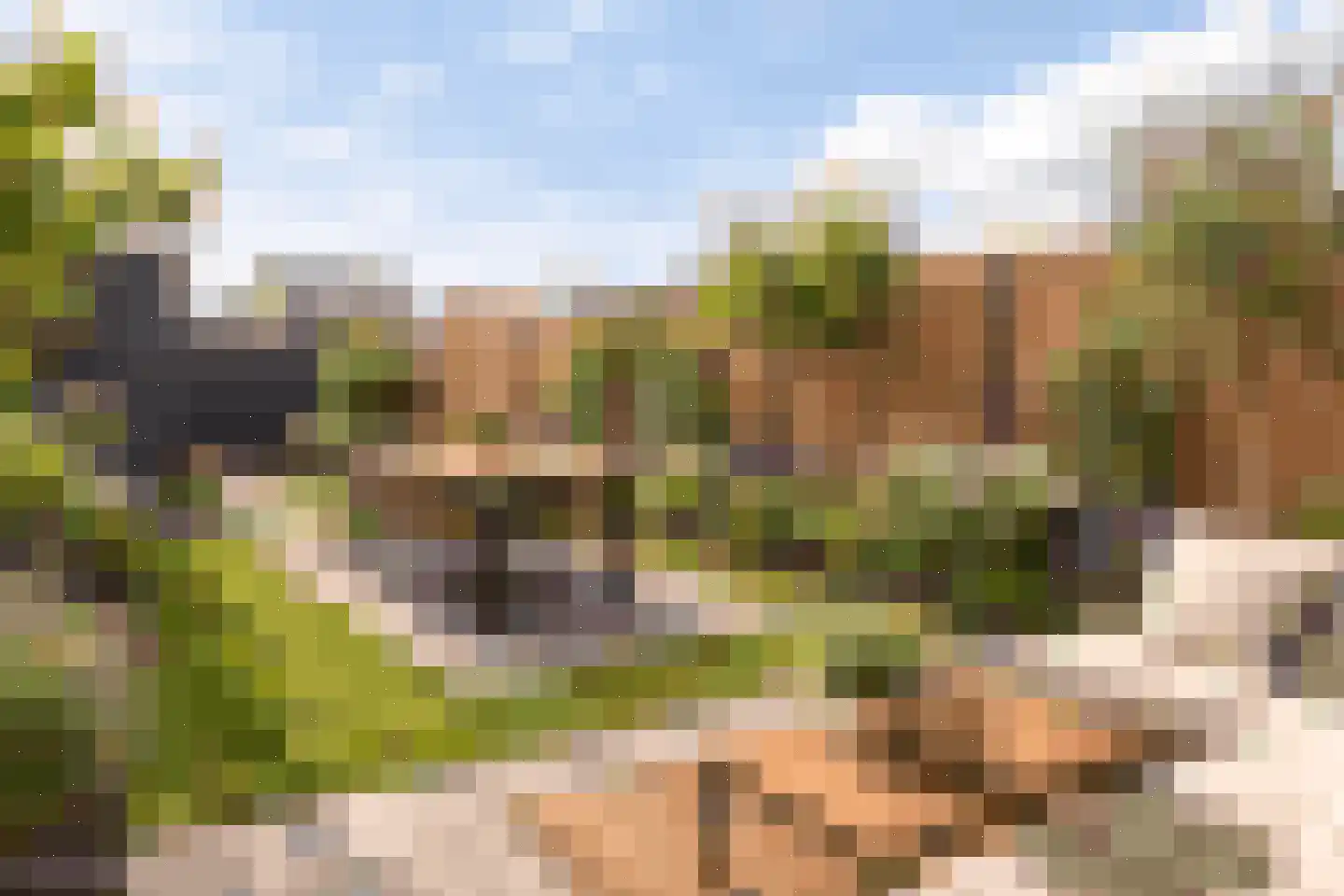 Raaigras 50 Assendelft thumbnail 15