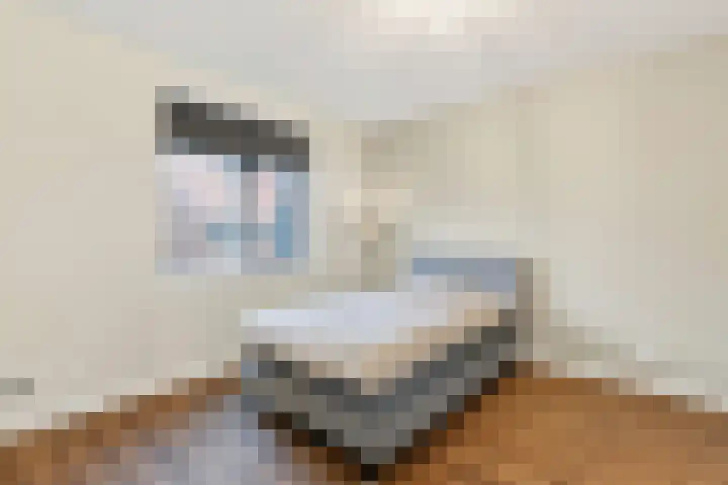 Raaigras 50 Assendelft thumbnail 24