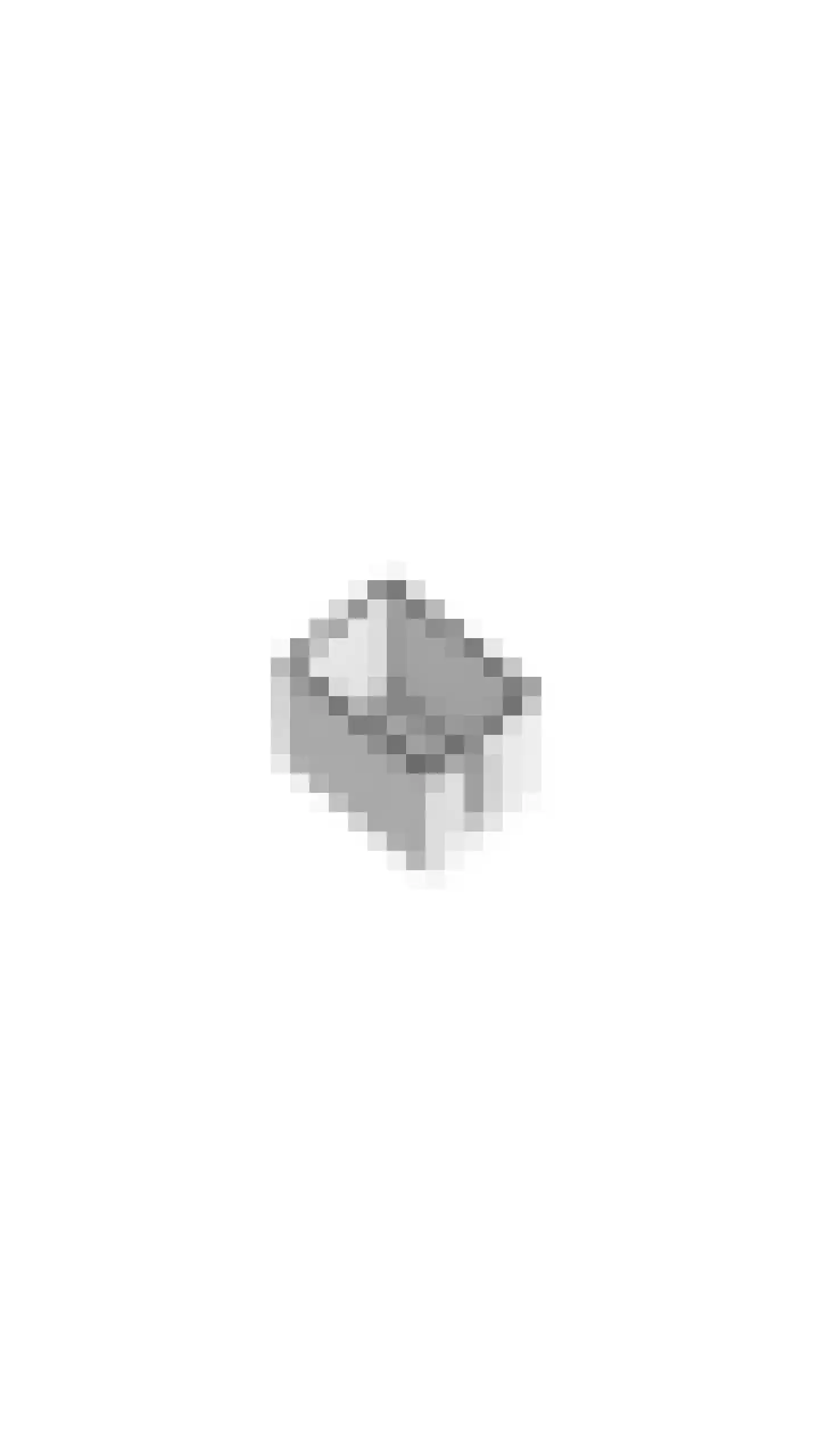 Raaigras 50 Assendelft thumbnail 44