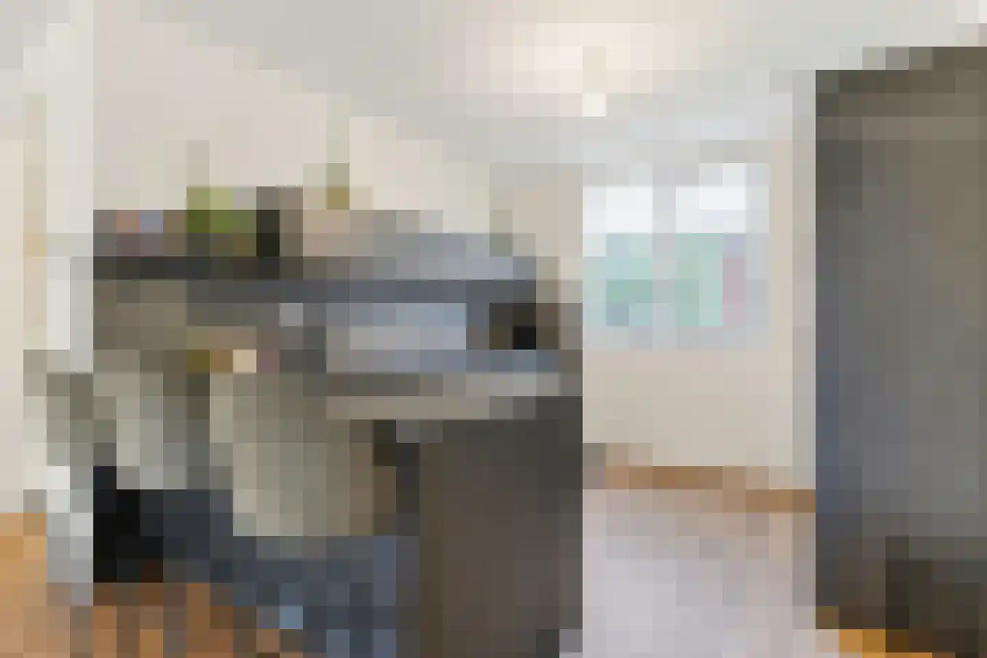 Raaigras 50 Assendelft thumbnail 5