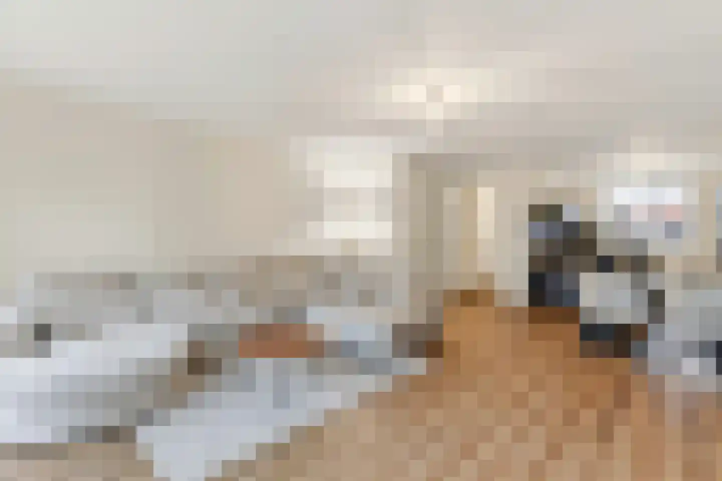 Raaigras 50 Assendelft thumbnail 8