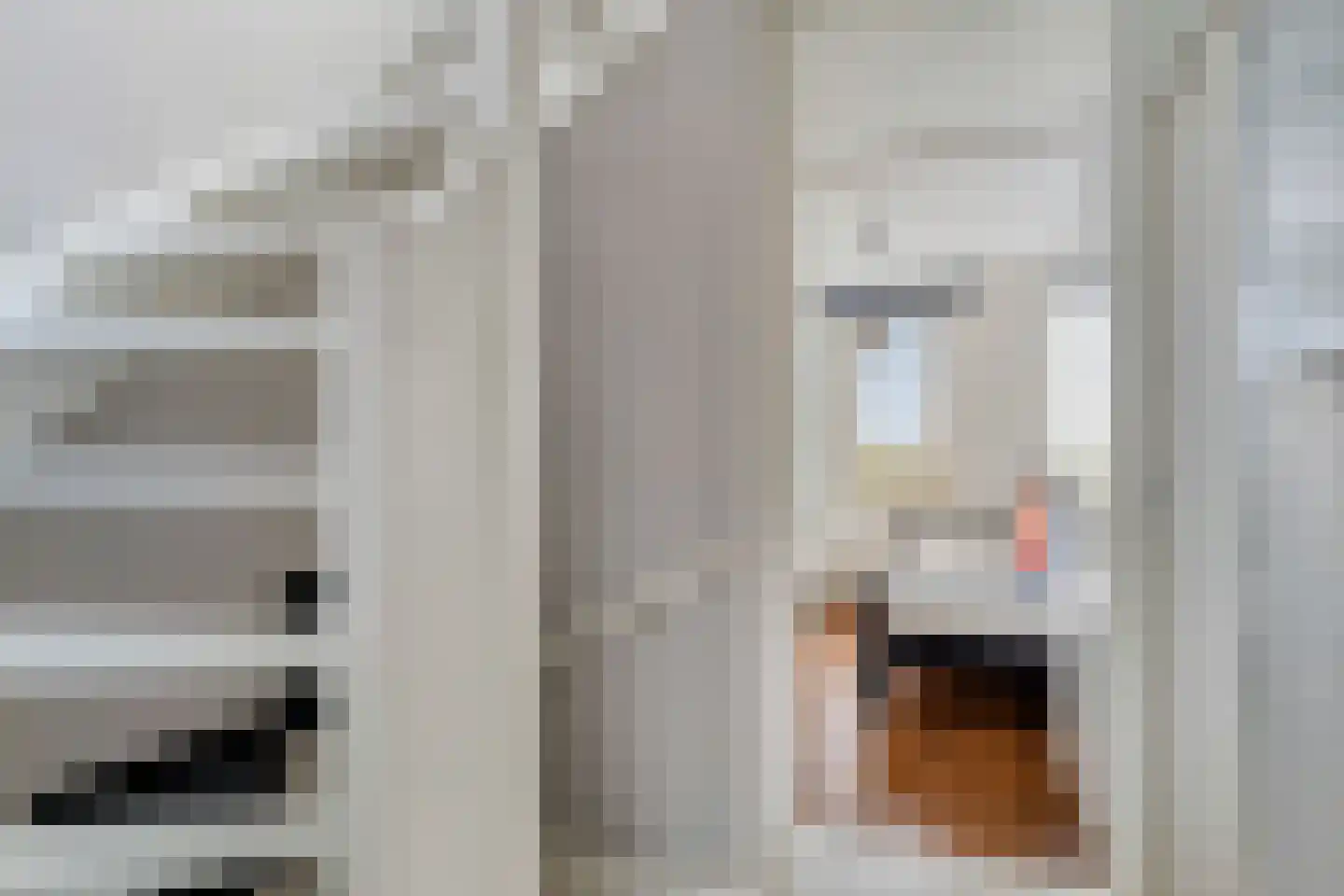 Raaigras 6 Spijkenisse thumbnail 11