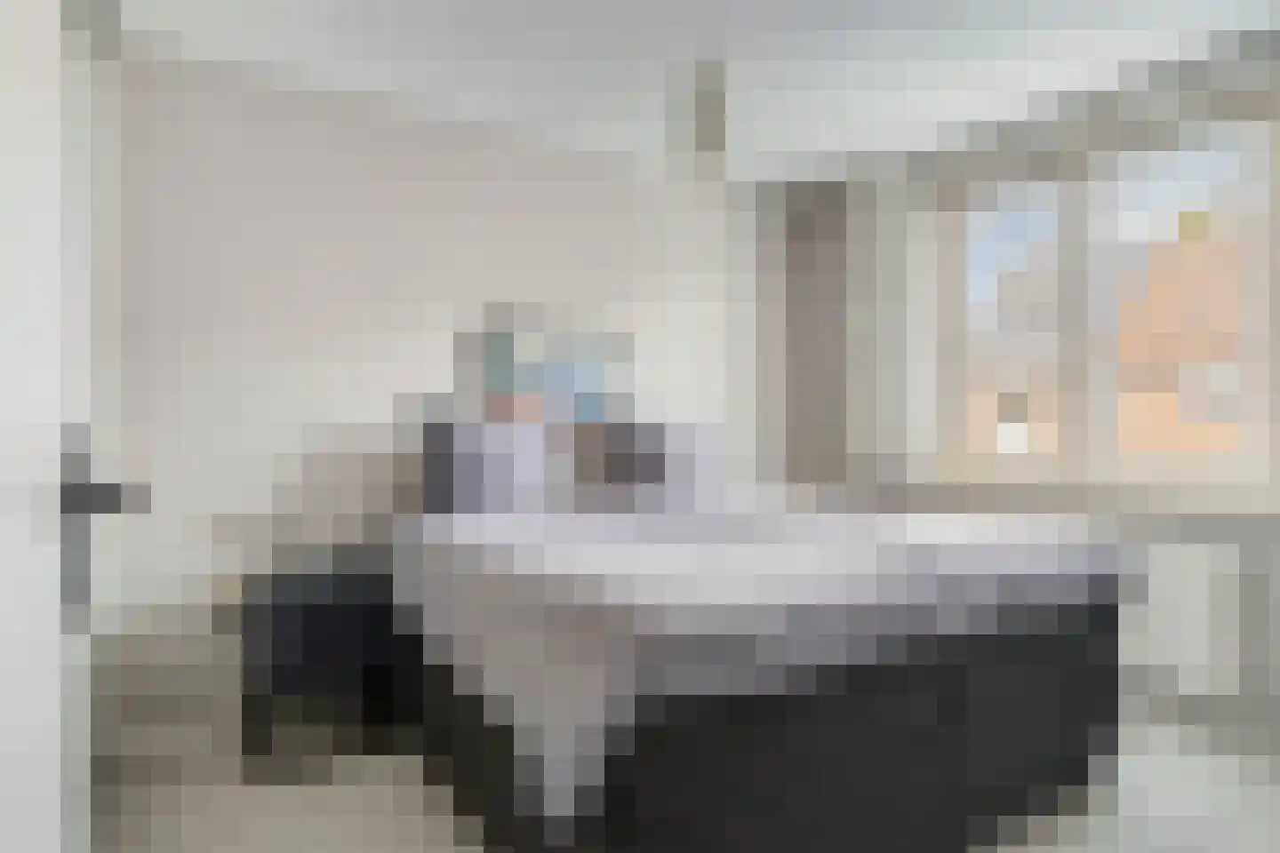 Raaigras 6 Spijkenisse thumbnail 14