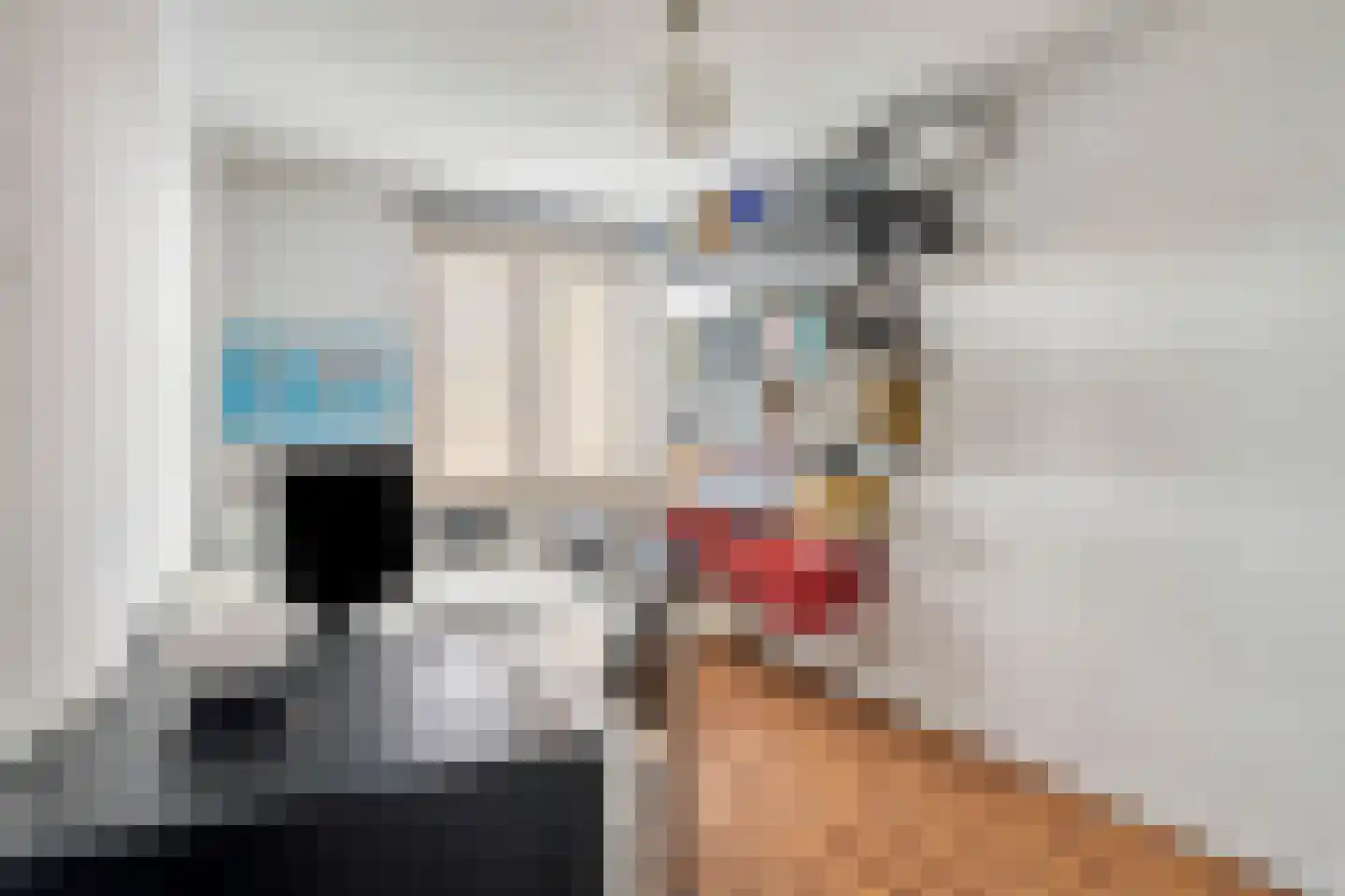 Raaigras 6 Spijkenisse thumbnail 16