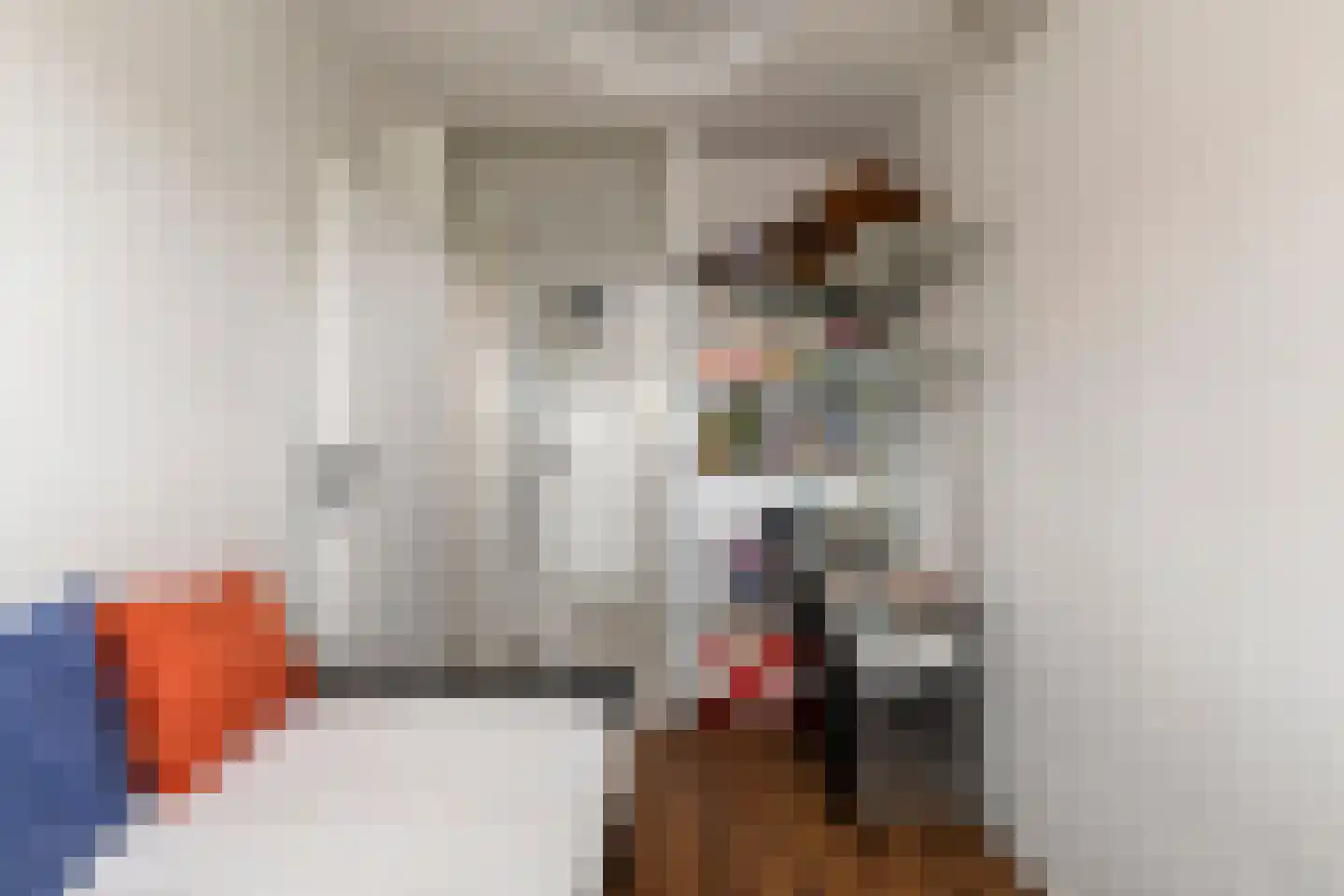 Raaigras 6 Spijkenisse thumbnail 19