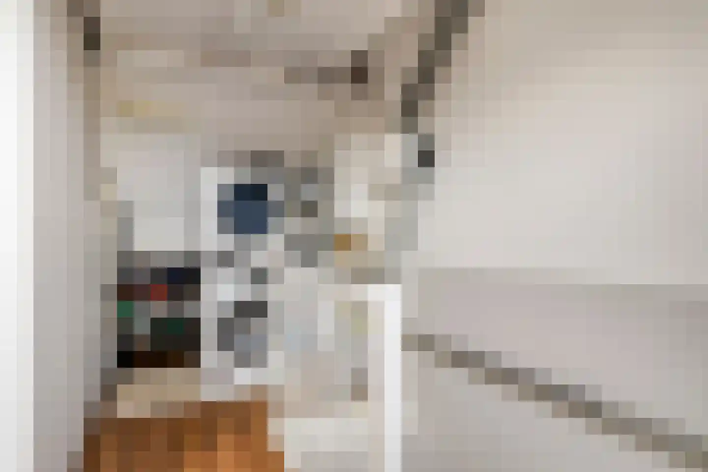 Raaigras 6 Spijkenisse thumbnail 22