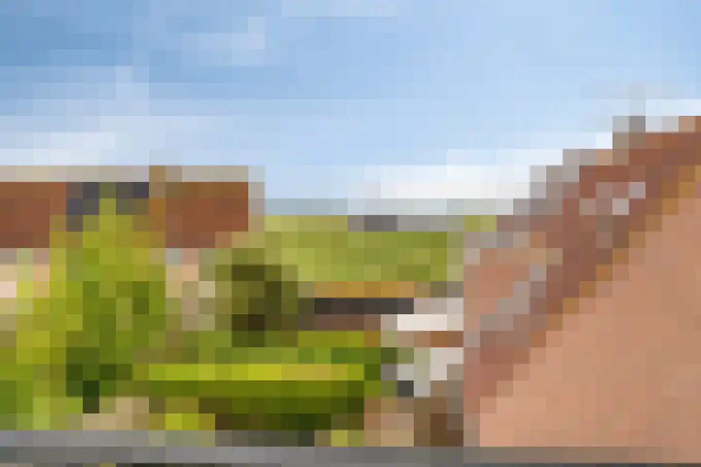 Raaigras 6 Spijkenisse thumbnail 25