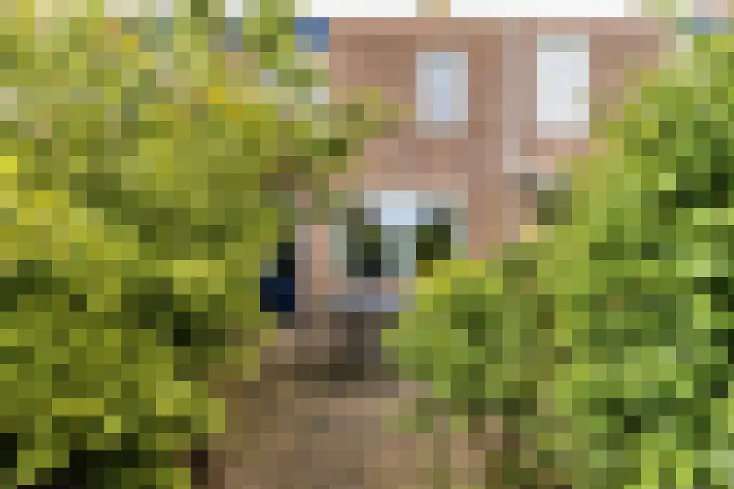Raaigras 6 Spijkenisse thumbnail 26