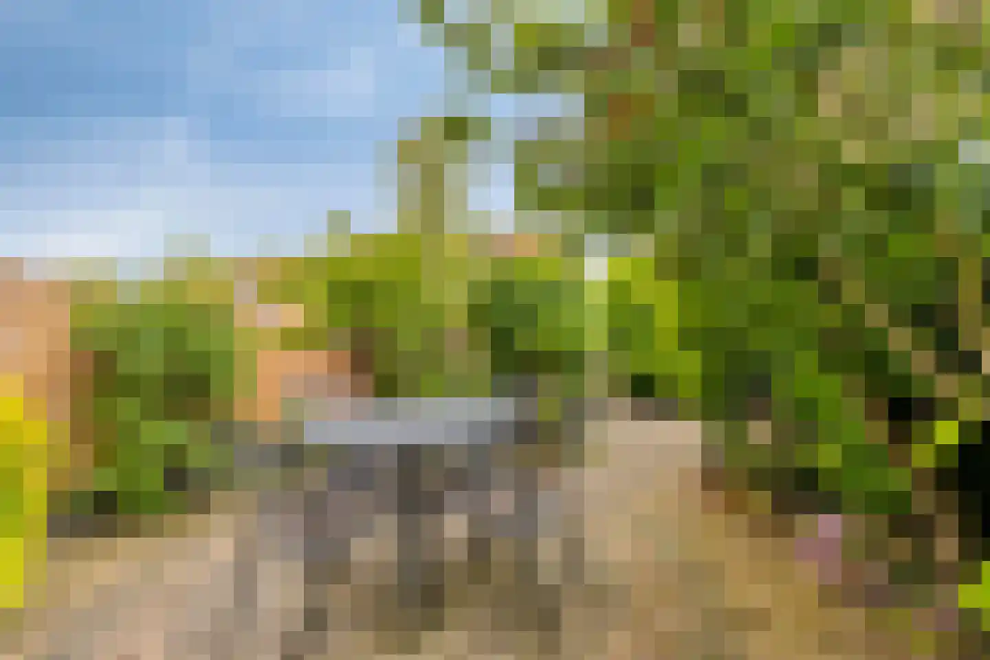 Raaigras 6 Spijkenisse thumbnail 27