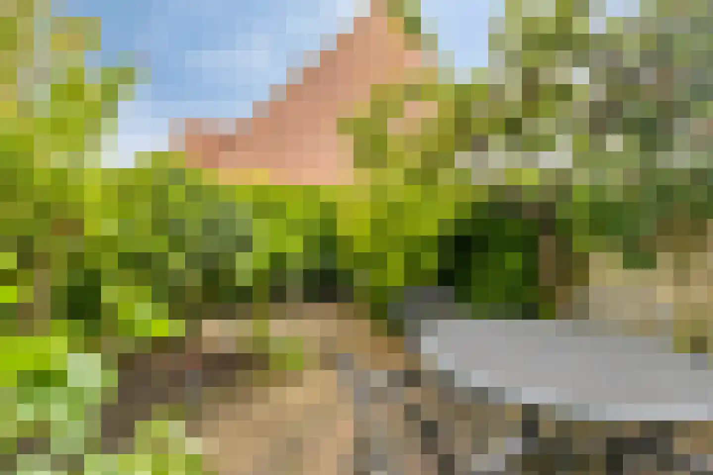 Raaigras 6 Spijkenisse thumbnail 28