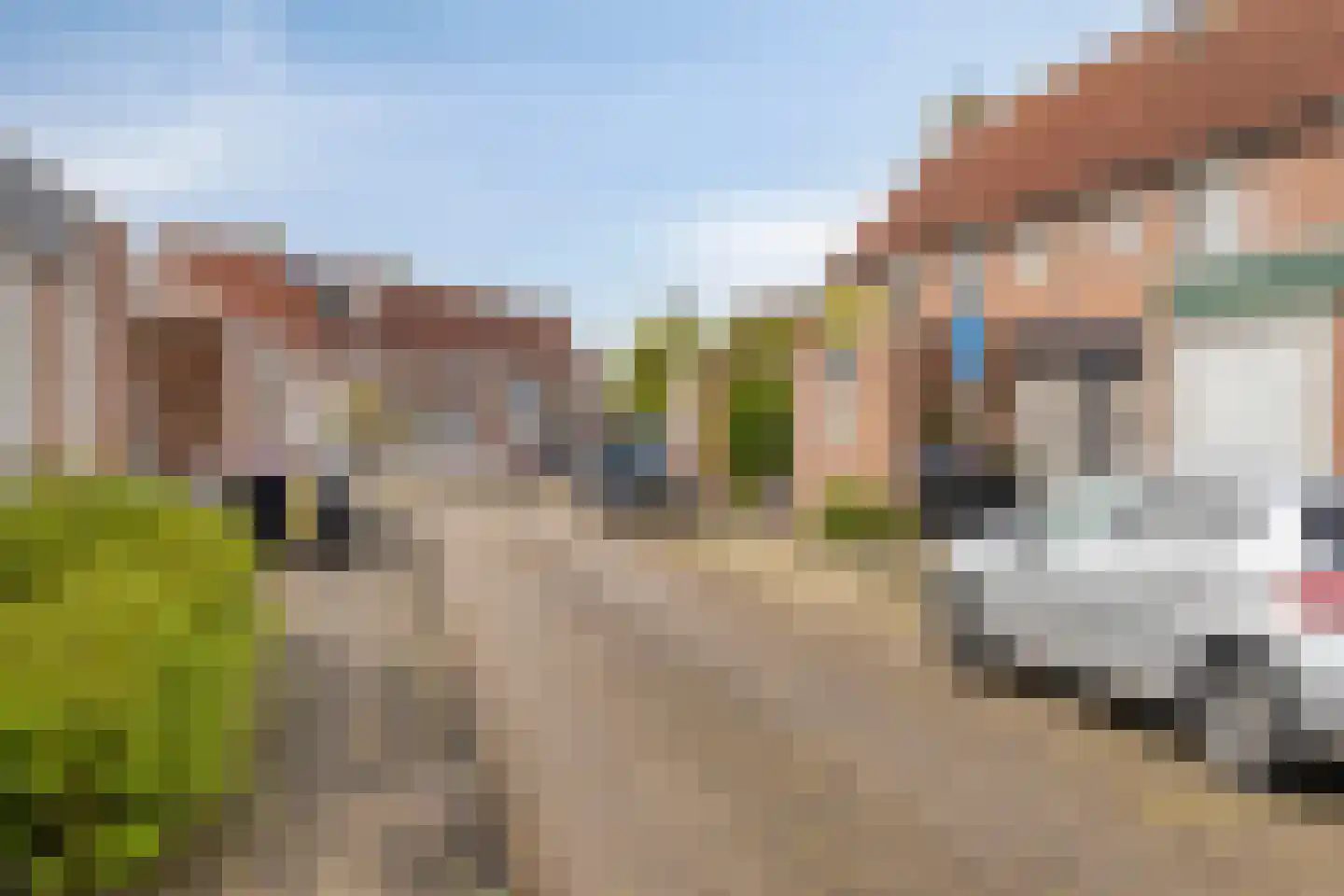 Raaigras 6 Spijkenisse thumbnail 30