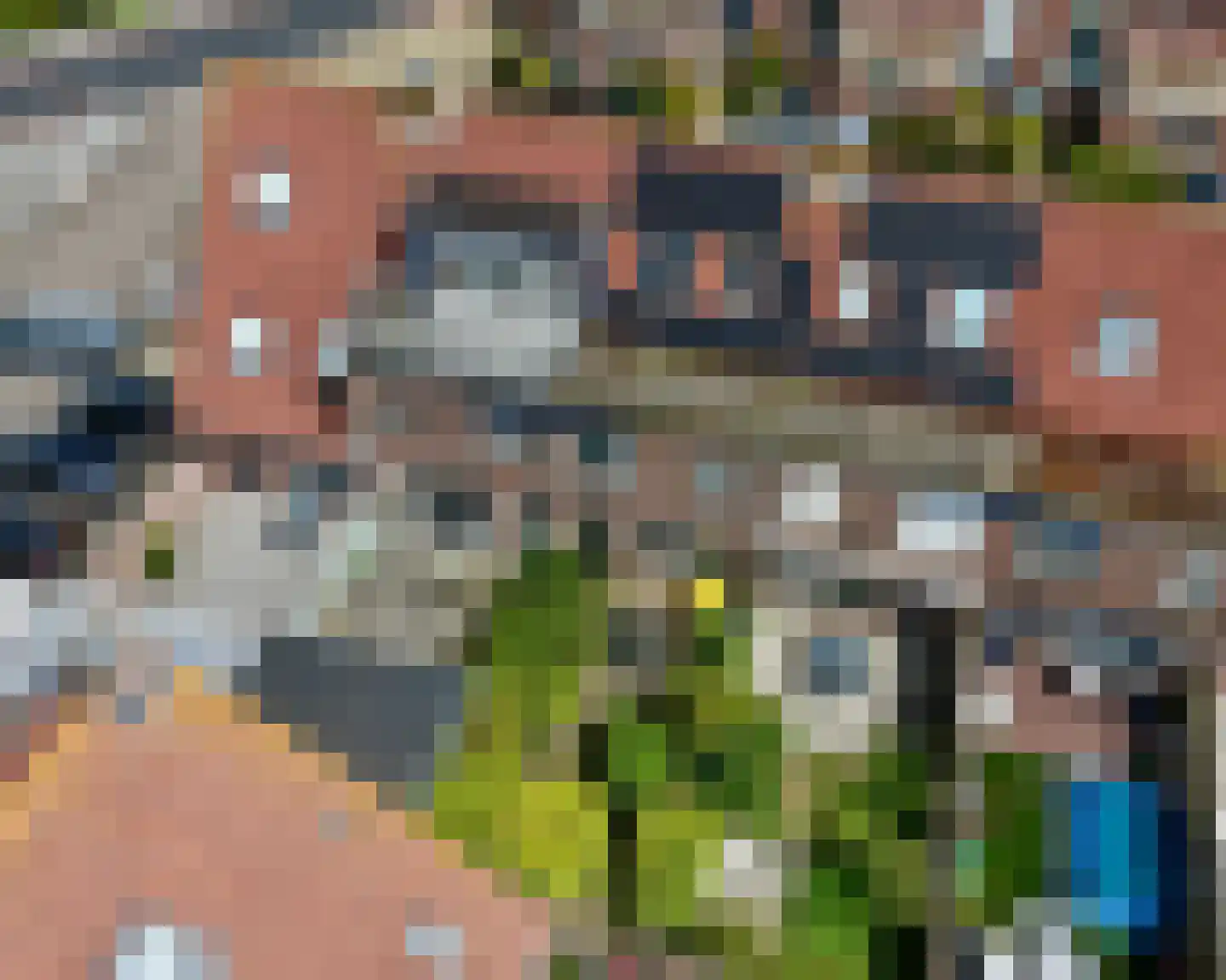 Raaigras 6 Spijkenisse thumbnail 30