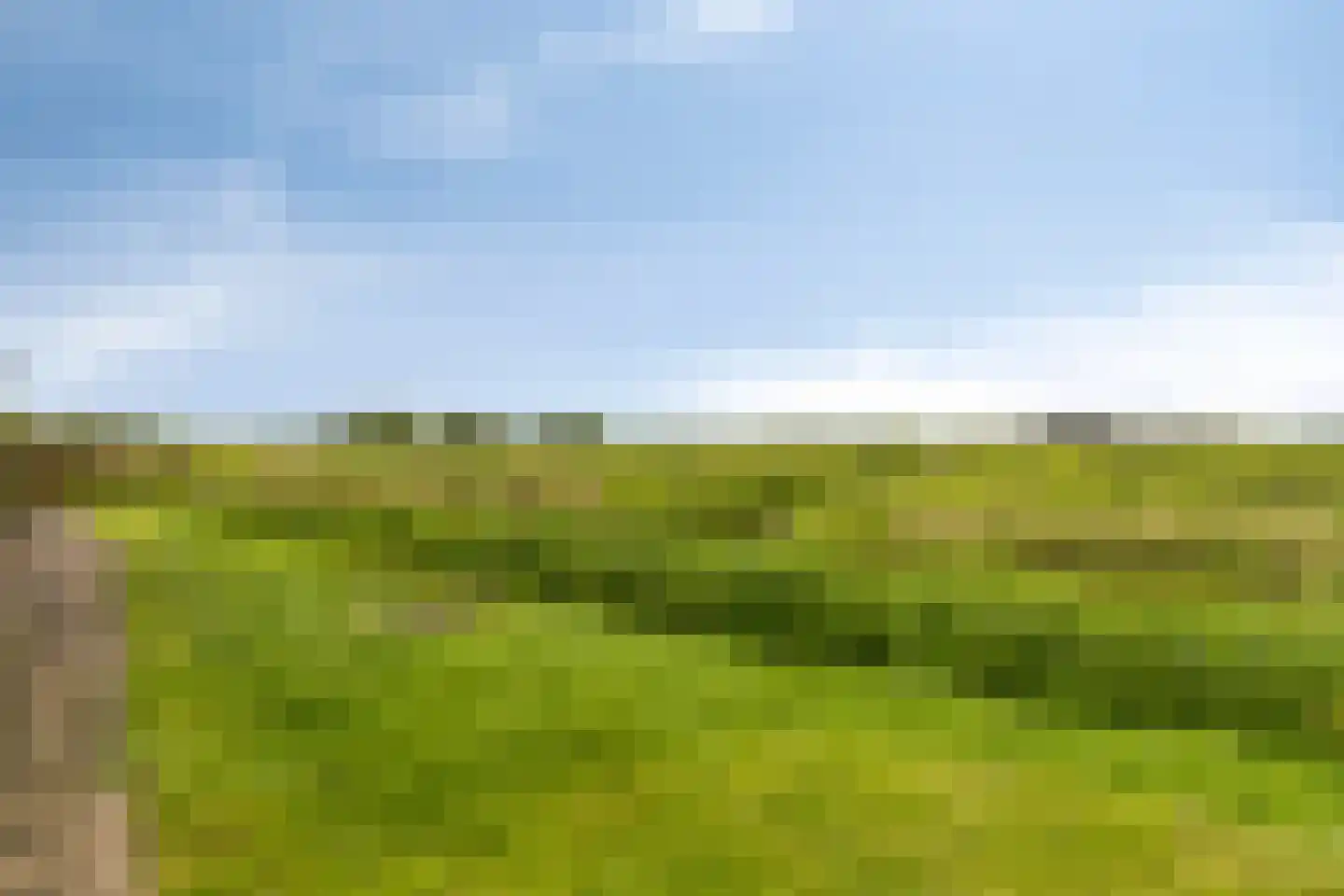 Raaigras 6 Spijkenisse thumbnail 34