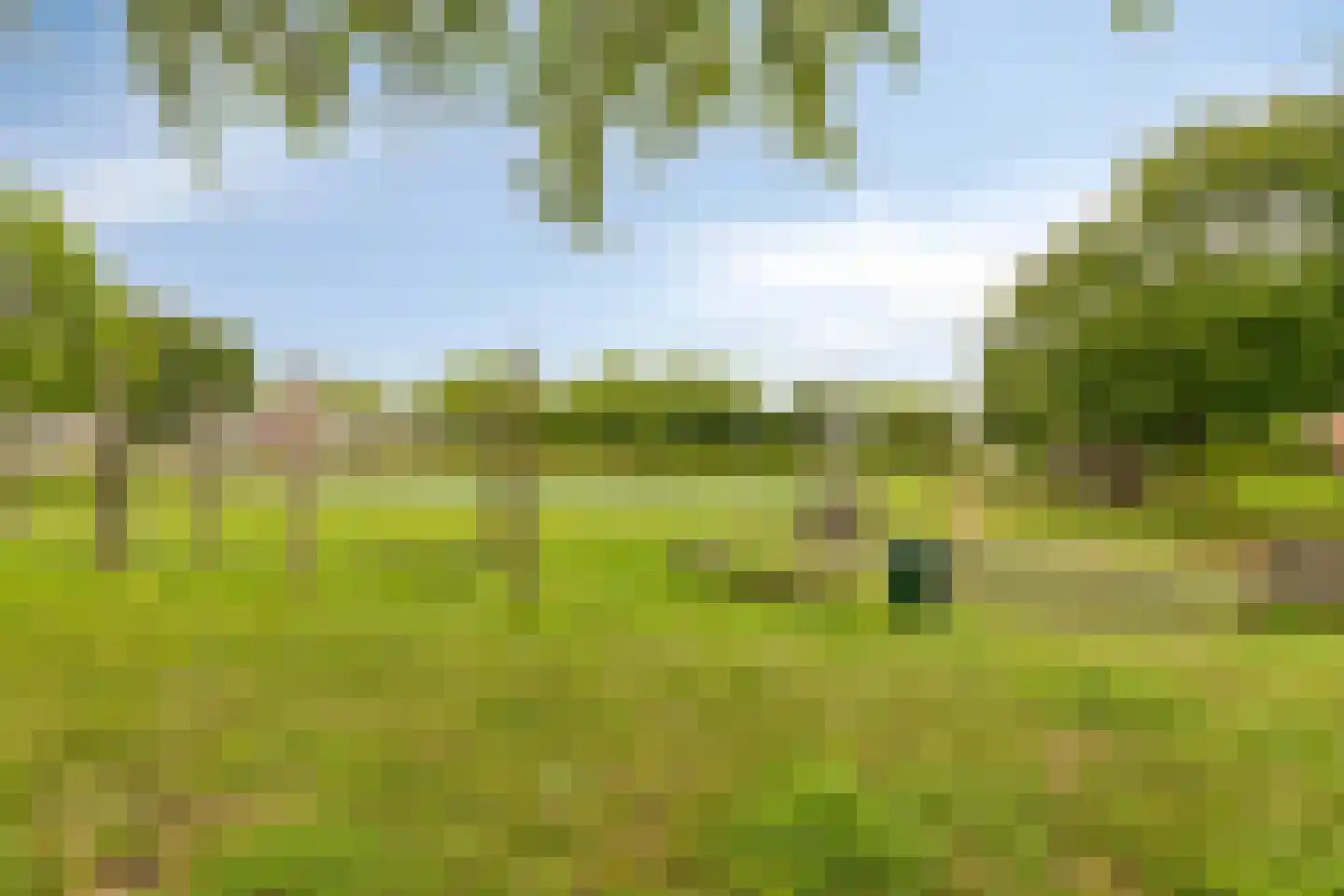 Raaigras 6 Spijkenisse thumbnail 35