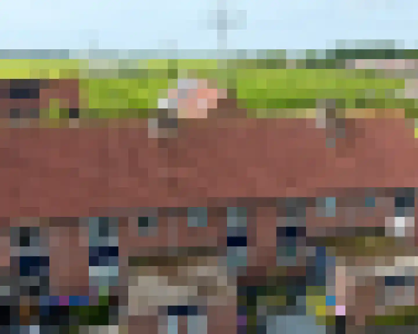 Raaigras 6 Spijkenisse thumbnail 38