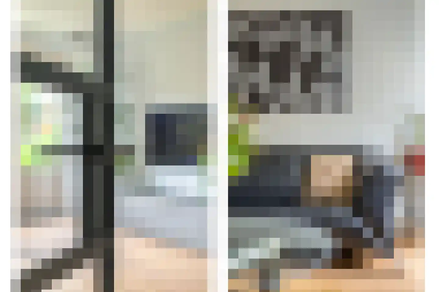 Raaigras 6 Spijkenisse thumbnail 4