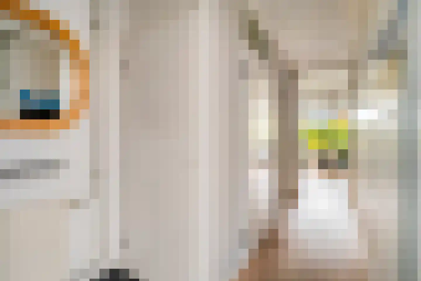 Raaigras 6 Spijkenisse thumbnail 9