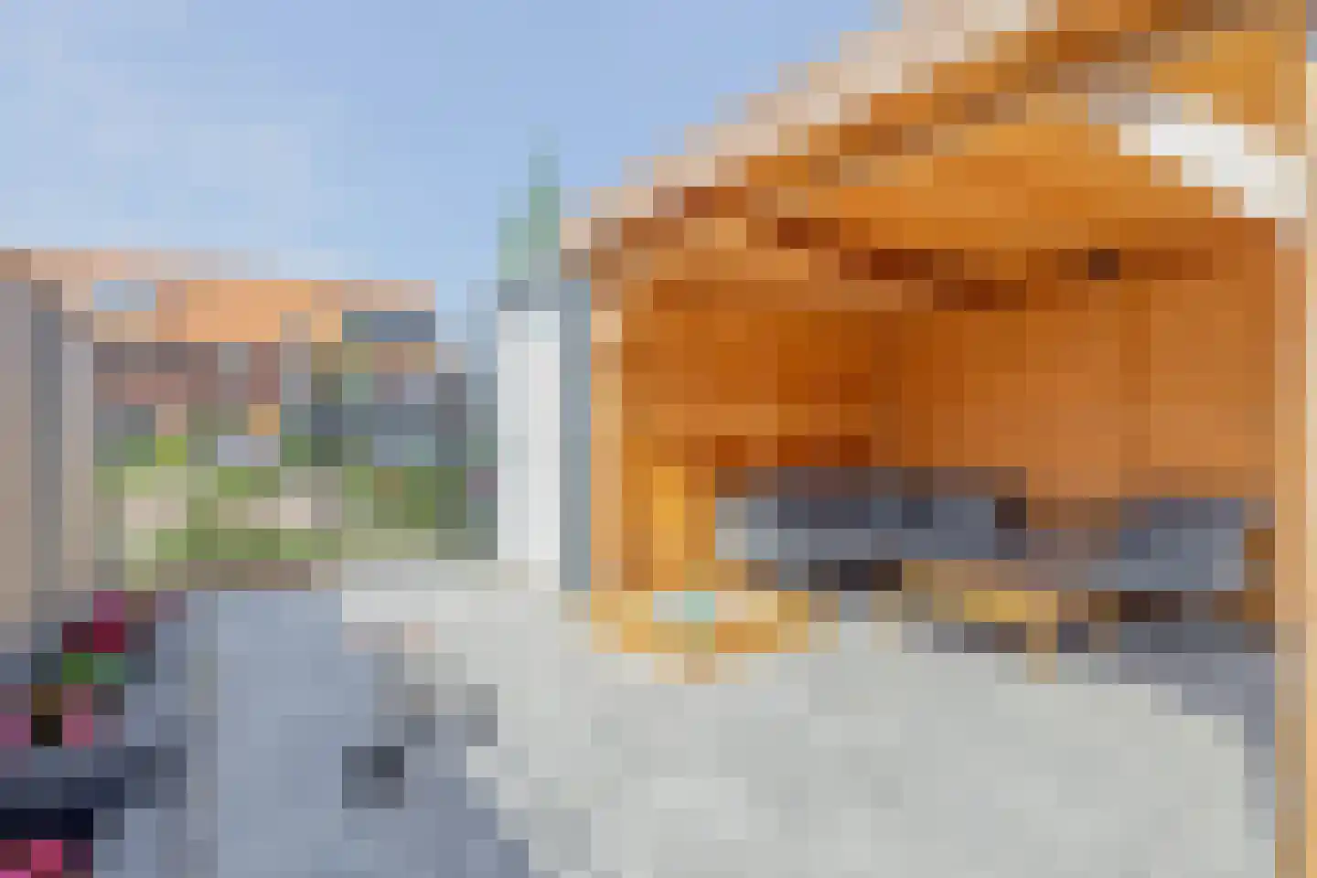 Raaigras 68 Assendelft thumbnail 35