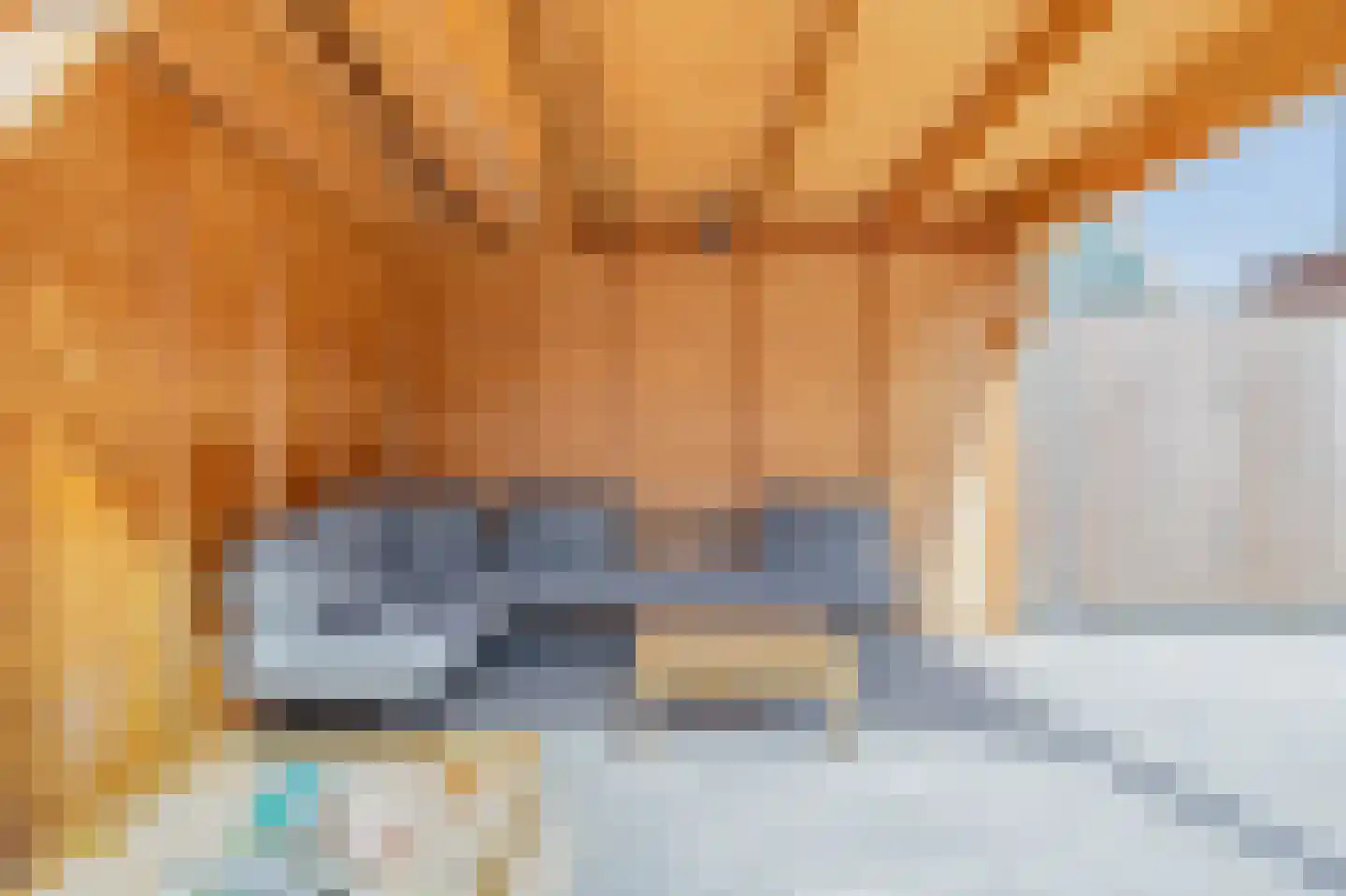 Raaigras 68 Assendelft thumbnail 36