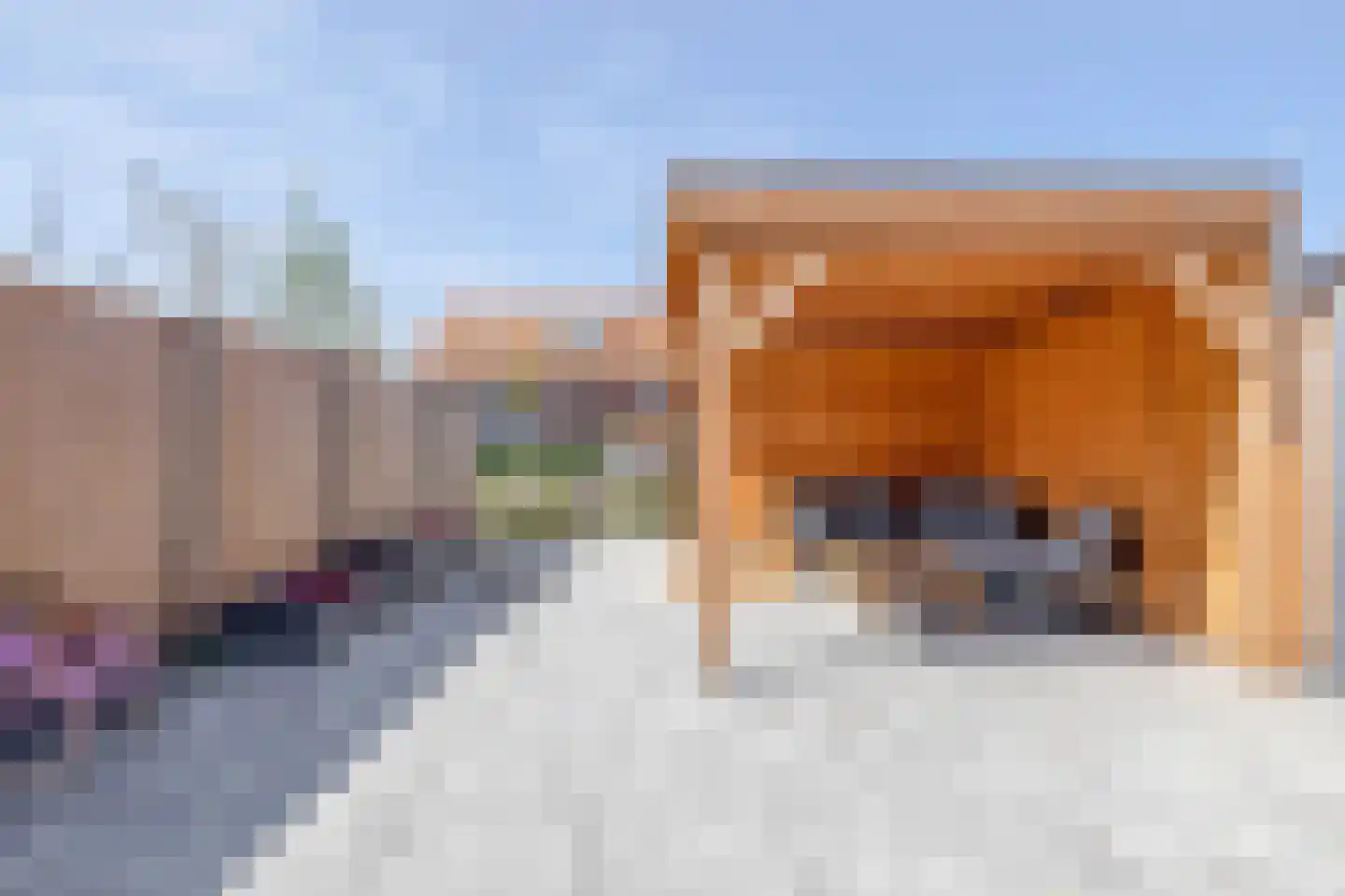 Raaigras 68 Assendelft thumbnail 4