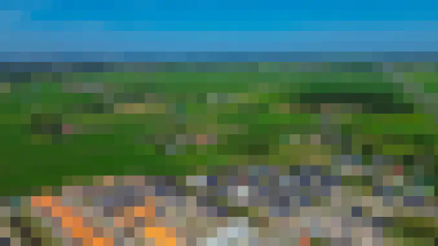 Raaigras 68 Assendelft thumbnail 43