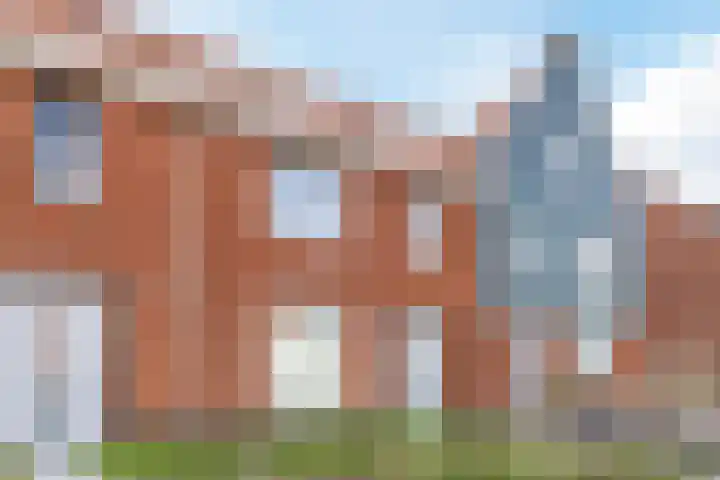 Raaigras 92 Assendelft