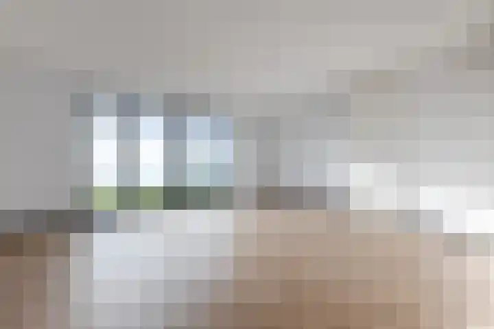 Raaigras 92 Assendelft thumbnail 10