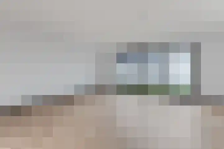 Raaigras 92 Assendelft thumbnail 11