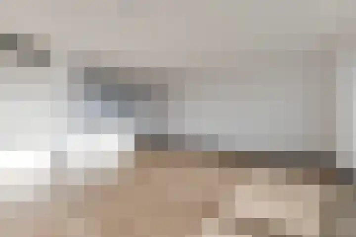 Raaigras 92 Assendelft thumbnail 12