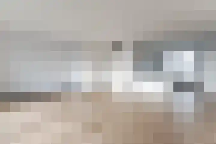 Raaigras 92 Assendelft thumbnail 13